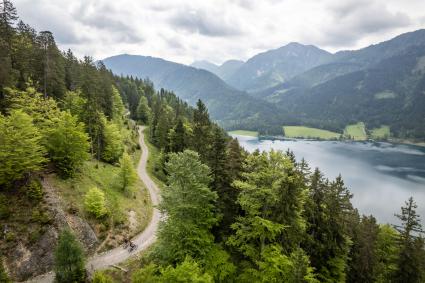 Trail- und Tourenbiken am Weissensee
