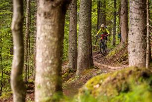 Trail- und Tourenbiken am Weissensee