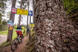 Trail- und Tourenbiken am Weissensee