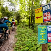 Trail- und Tourenbiken am Weissensee