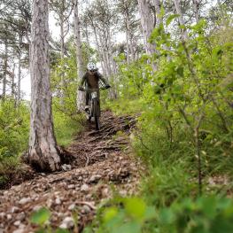 Scott Patron eRide 900 Langzeittest