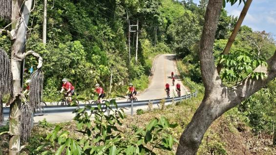 Zwischen Tempeln, Palmen & Affen: Rennradfahren in Thailand