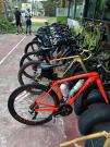 Zwischen Tempeln, Palmen & Affen: Rennradfahren in Thailand