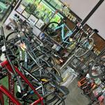 Zwischen Tempeln, Palmen & Affen: Rennradfahren in Thailand