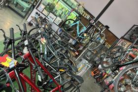 Zwischen Tempeln, Palmen & Affen: Rennradfahren in Thailand