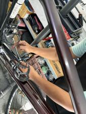 Zwischen Tempeln, Palmen & Affen: Rennradfahren in Thailand