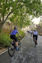 Zwischen Tempeln, Palmen & Affen: Rennradfahren in Thailand