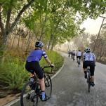 Zwischen Tempeln, Palmen & Affen: Rennradfahren in Thailand
