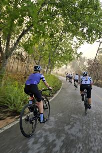 Zwischen Tempeln, Palmen & Affen: Rennradfahren in Thailand