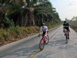 Zwischen Tempeln, Palmen & Affen: Rennradfahren in Thailand