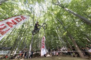 Vienna Trailbrunch 2025