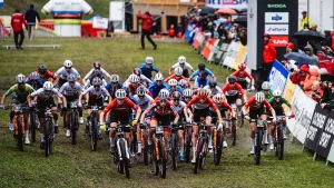 MTB-WM: XCC & XCO