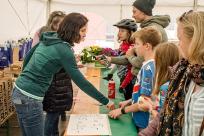 Vorschau Grazer Bike-Festival Stattegg