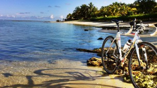Cyclocrossen im ParadiesBB-User gpearl flÃ¼chtet in den Indischen Ozean. Georg Pfarls Bericht von Weihnachtsferien der anderen Art: querfeldein Ã¼ber Mauritius.