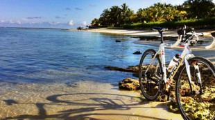 Cyclocrossen im ParadiesBB-User gpearl flüchtet in den Indischen Ozean. Georg Pfarls Bericht von Weihnachtsferien der anderen Art: querfeldein über Mauritius.