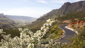 Bikefestival Gran Canaria 22. - 25. März 2012