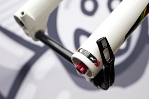 Sid 29