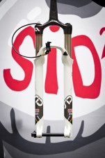 Sid 29