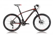 Myroon Master (9,5kg)
