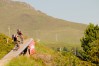 Trek 2012