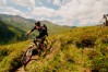 Trek 2012
