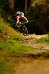 Trek 2012