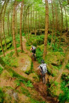 Trek 2012