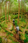 Trek 2012