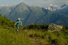 Trek 2012