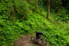 Trek 2012