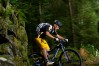 Trek 2012