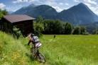 Trek 2012