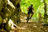 Trek 2012