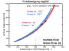 Kniewinkel im biomechanischen Optimalbereich (Rennrad: 30-35°)