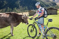 Alta Rezia Singletrail-Cross