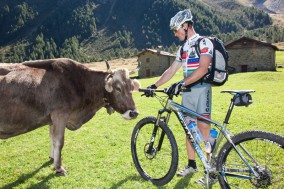 Alta Rezia Singletrail-Cross