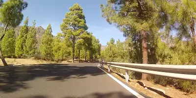 Real Life Trainingsvideos