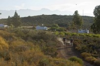 The Cape Epic