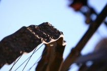 The Cape Epic