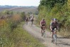 In Velo Veritas Review