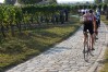 In Velo Veritas Review