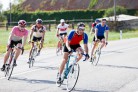 In Velo Veritas Review