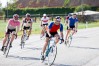 In Velo Veritas Review