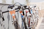 In Velo Veritas Review