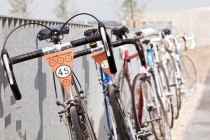 In Velo Veritas Review