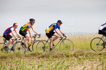In Velo Veritas Review