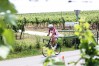 1. Weinviertler Winzerthlon 