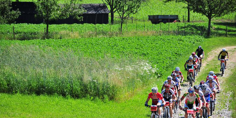 MTB-Marathon Pöllau