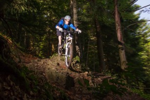 Wheeler Raptor LTD
