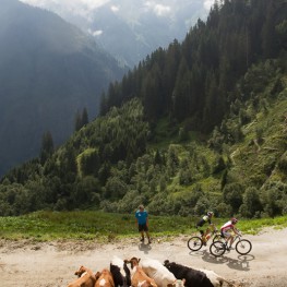 Bike Infection Kaprun